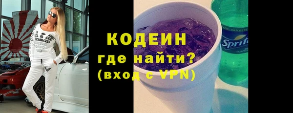 индика Зеленодольск