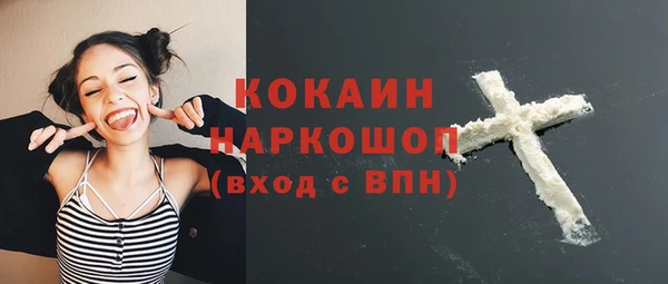 индика Зеленодольск