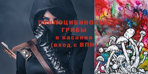 индика Зеленодольск
