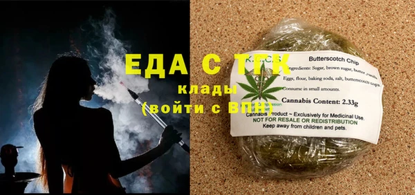 индика Зеленодольск