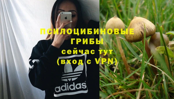 индика Зеленодольск
