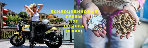 индика Зеленодольск