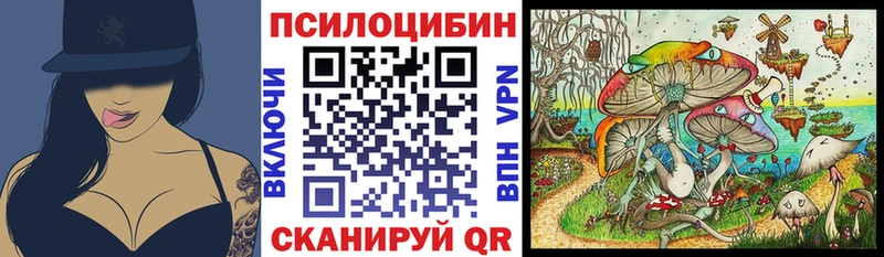 Галлюциногенные грибы Psilocybine cubensis  MEGA tor  Светогорск 